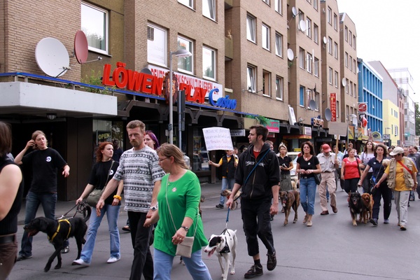 Hunde-Demo   055.jpg
